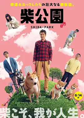 涉密的女人